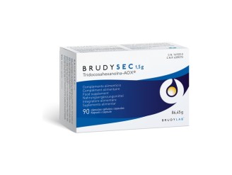 Brudy Sec