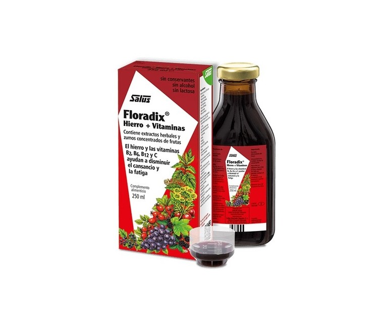 Floradix Hierro (250ml) 250 ml Salus