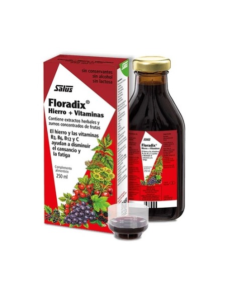 Floradix Hierro (250ml) 250 ml Salus