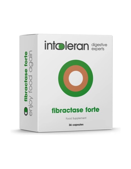 Fibractase forte 36 cápsulas Intoleran