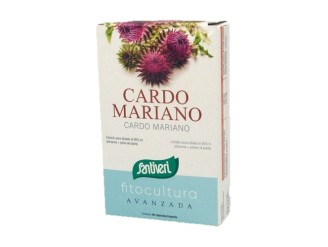 Cardo Mariano