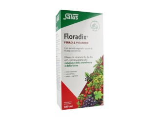 Floradix Hierro