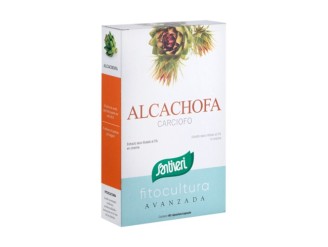 Alcachofa