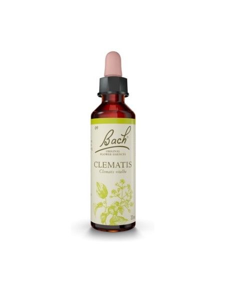 Flores de Bach Clematis 20 ml de elixir floral Bach Original