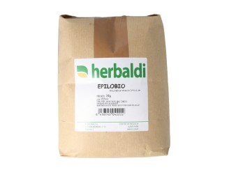 Hierba epilobio