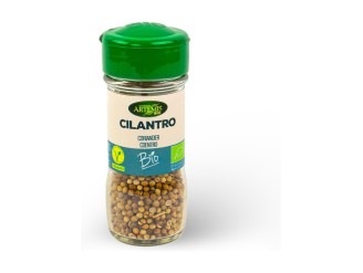 Cilantro semilla Bio