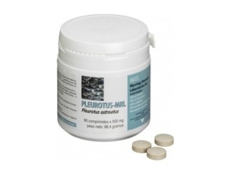 Pleurotus-Mrl