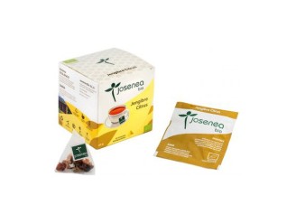 Jengibre Citrus Bio