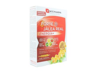 Forté Jalea Real Energía+