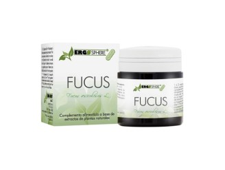 Fucus Ergosphere