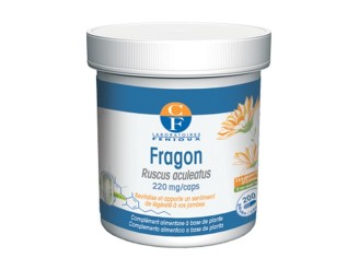 Rusco (Fragon)