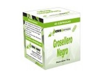 Grosellero Negro Ergosphere