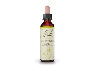 Flores de Bach Chestnut Bud