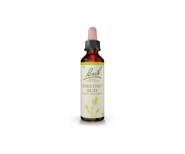 Flores de Bach Chestnut Bud 20 ml de elixir floral Bach Original