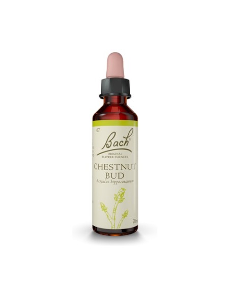 Flores de Bach Chestnut Bud 20 ml de elixir floral Bach Original