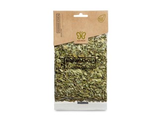 Moringa hoja Eco