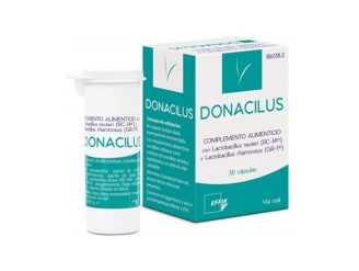 Donacilus