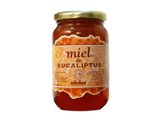 Miel de Eucalipto