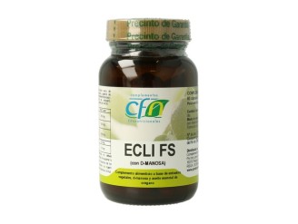 Ecli Fs