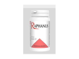 Raphanus