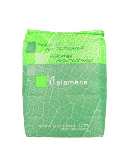 Té verde entero 1 kg Plameca