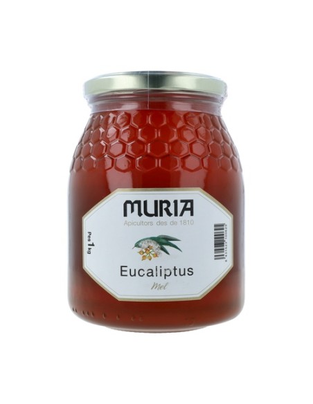 Miel Eucalipto 1 kg Muria