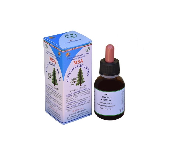 Msa Sequoia Gigantea 50 ml Herboplanet