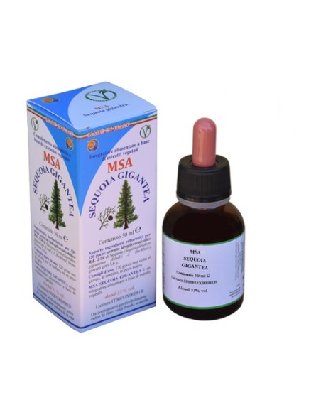 Msa Sequoia Gigantea 50 ml Herboplanet