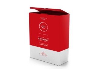 Cartidina