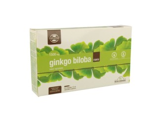 Ginkgo Biloba Forte