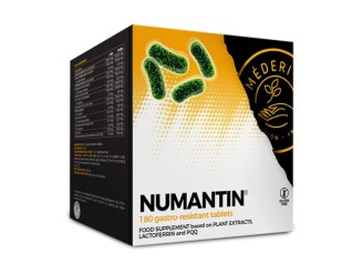 Numantin