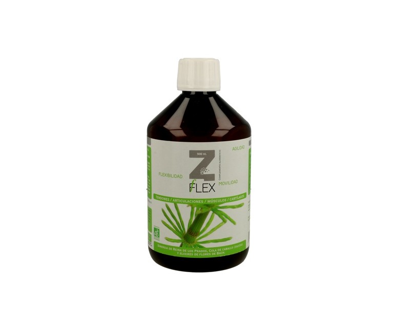 Z-Flex 500 ml Mint-e health laboratories
