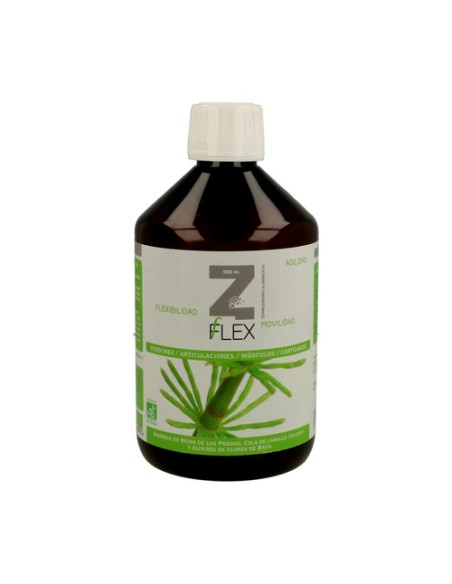 Z-Flex 500 ml Mint-e health laboratories