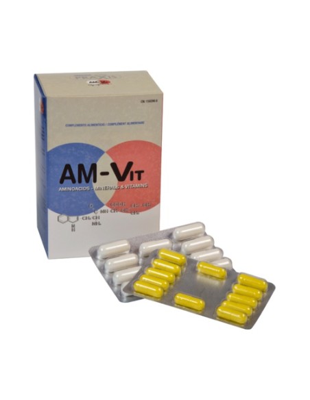 Am-Vit 100 + 24 comprimidos Praxis