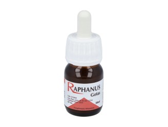 Raphanus sistema inmunitaria en gotas
