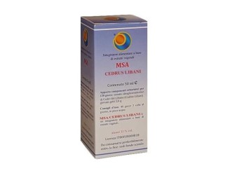 MSA Cedrus Libani