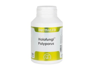 Holofungi Polyporus