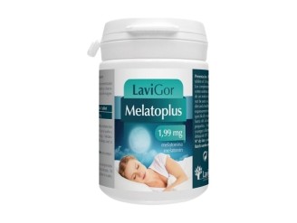 Melatoplus