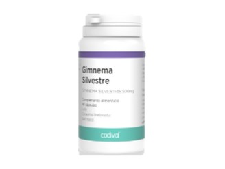 Gymnema Silvestre