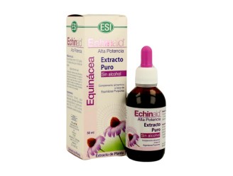 Echinaid extracto puro sin alcohol de equinácea