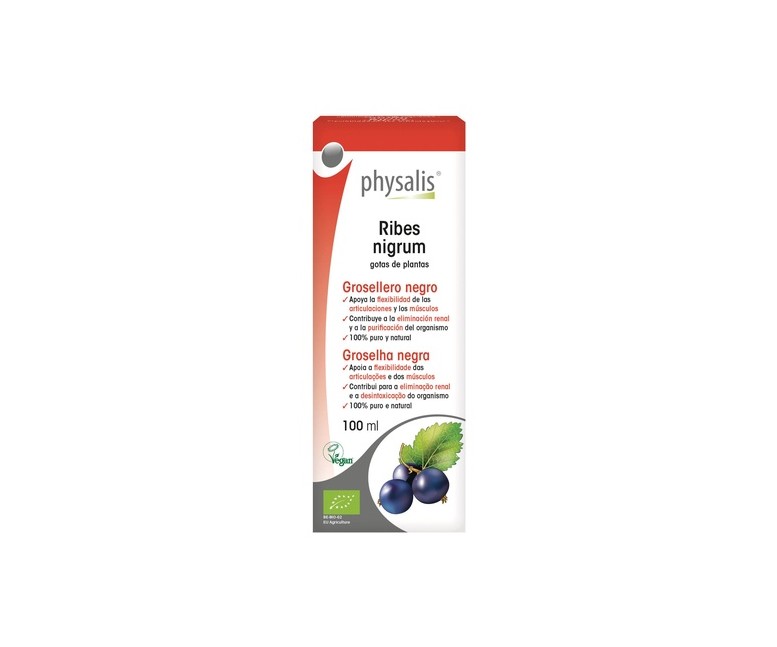 Extracto de Grosellero Negro (Ribes N.) Bio 100 ml Physalis