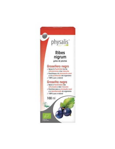 Extracto de Grosellero Negro (Ribes N.) Bio 100 ml Physalis
