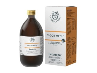 Vigor-Mech