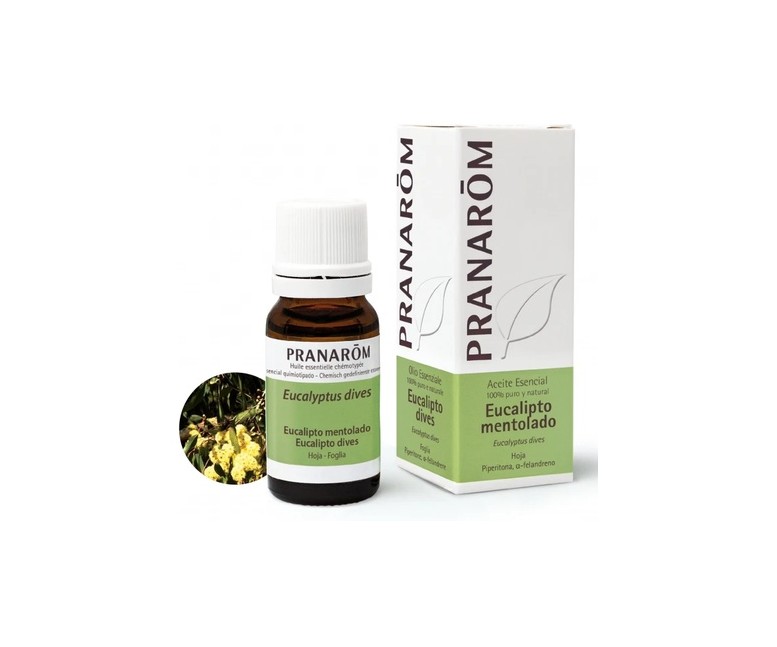 Aceite Esencial de Eucalipto Mentolado 10 ml Pranarom