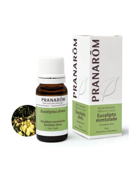Aceite Esencial de Eucalipto Mentolado 10 ml Pranarom