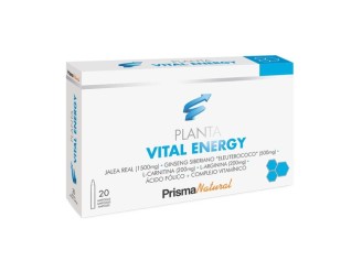 Plantavital Energy jalea real
