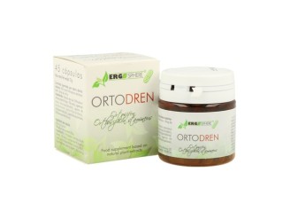 Ortodren Ergosphere