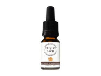 Elixir de bach 07 brote de castaño