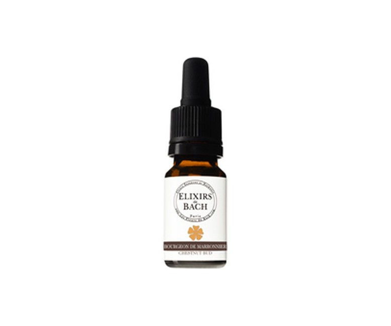 Elixir de bach 07 brote de castaño 10 ml de elixir floral Elixirs & Co