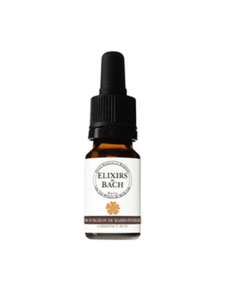 Elixir de bach 07 brote de castaño 10 ml de elixir floral Elixirs & Co
